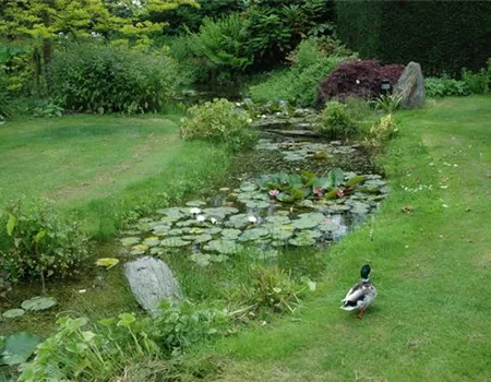 Der Bachlauf im Garten – Wasser bringt Ruhe und Erholung