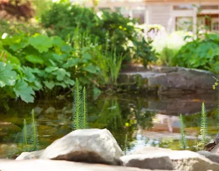 Findlinge im Garten - Sitzgelegenheit, Wasserfall oder Dekoelement