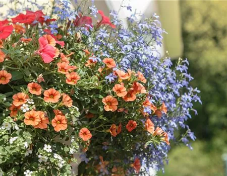 Urban Gardening – Blumenampel aus Konservendosen