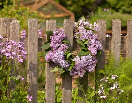 Gartenzäune und Co