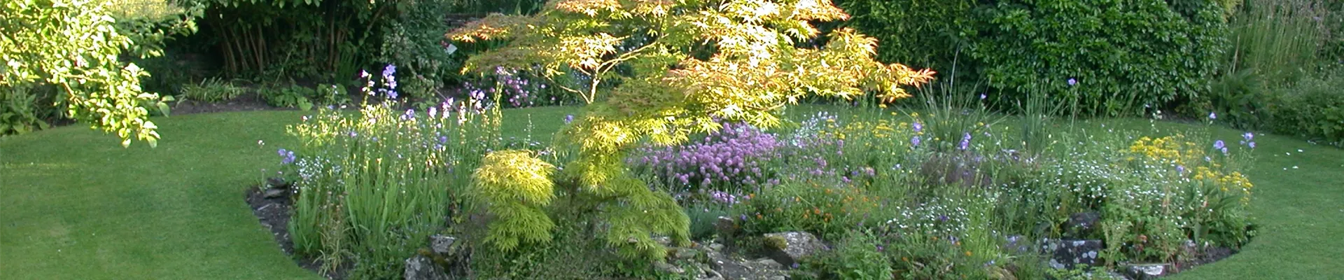 GS616289.jpg