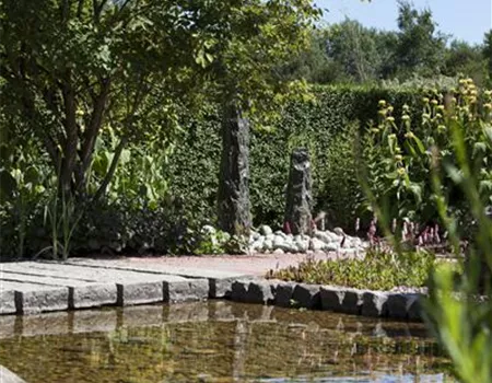 Der Wassergarten - Harmonie und Bewegung zugleich