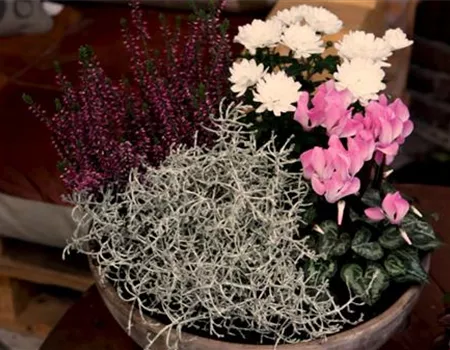 Blumenkübel – Herbstliche Bepflanzung