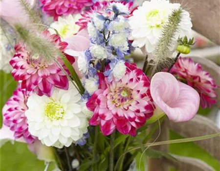 Beauty-Kur für den Blumenstrauß: Pülverchen und Hausmittel