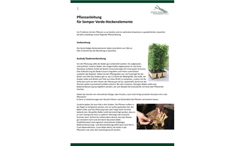 Pflanzanleitung Heckenelemente