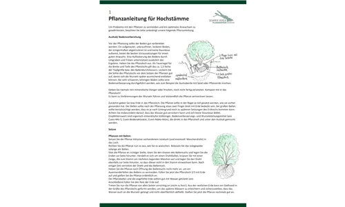 Pflanzanleitung Hochstämme
