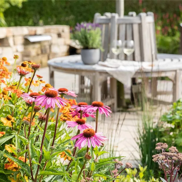 Gärtner (m/w/d) in Staudenbetrieb in Vollzeit (40 Wochenstunden) 