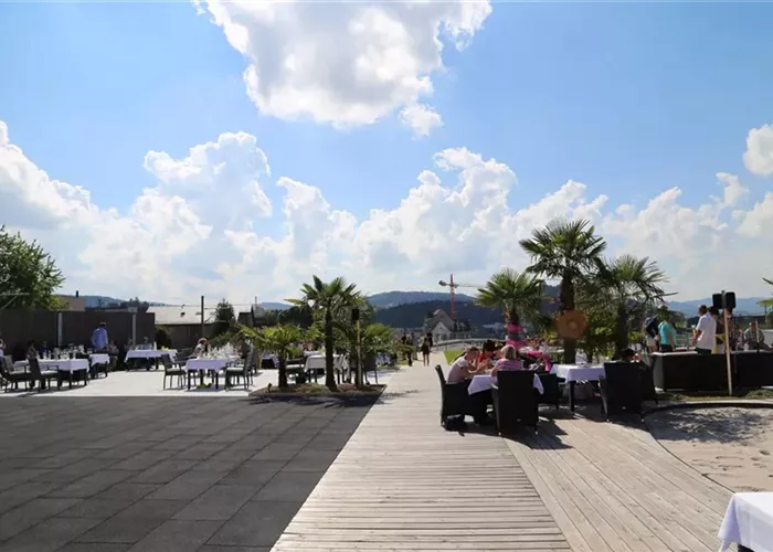 Palmen Dachterrasse Fitnesscenter