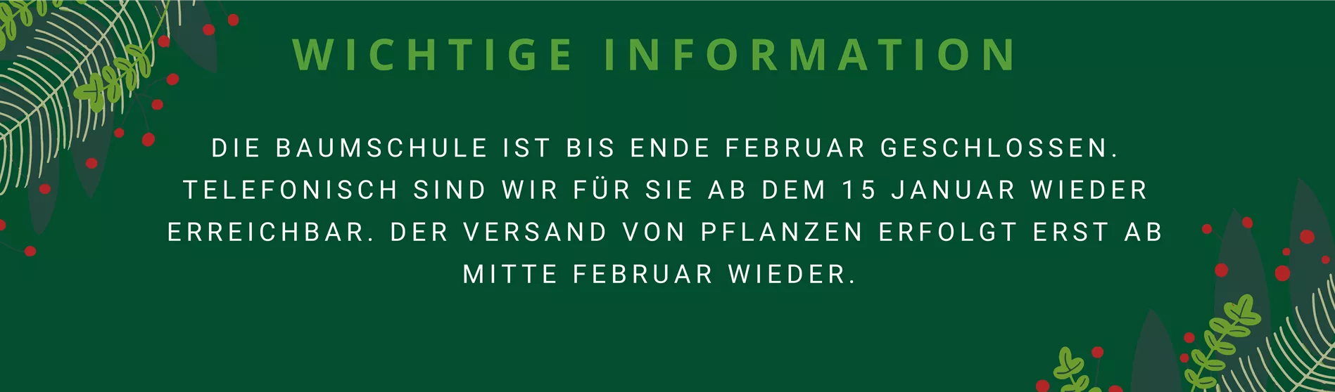 Banner Startseite.png