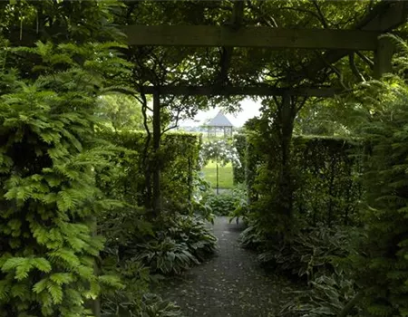 Garten easy going – so wird der Garten pflegeleicht