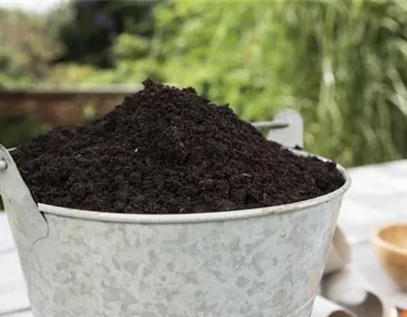 Erde und Substrate legen den Grundstein fürs Wachstum 