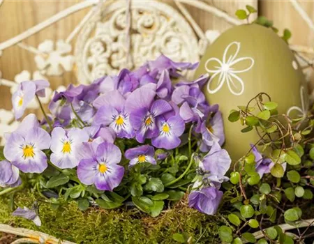 Ein buntes Osterfest mit den passenden Frühlingsboten