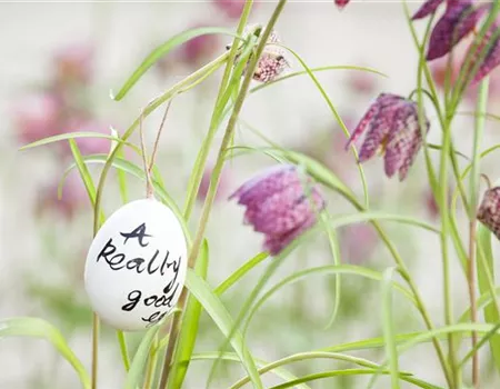 Der Garten für den Osterhasen – ein Frühlingsparadies!