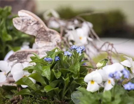 Ostern vor der Haustür
