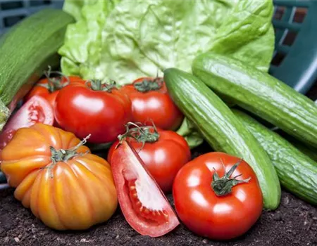 Von Artischocke bis Zucchini: alles für den Bauerngarten