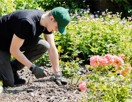 Was bringt der April dem Gärtner an Arbeit?