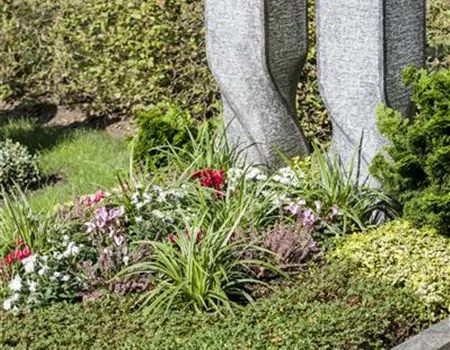 Im Mai bekommt das Grab seine Sommerbepflanzung